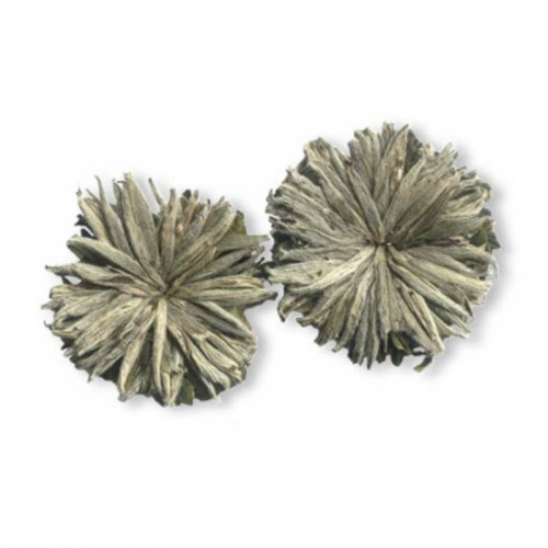 Белый пион чай 100г